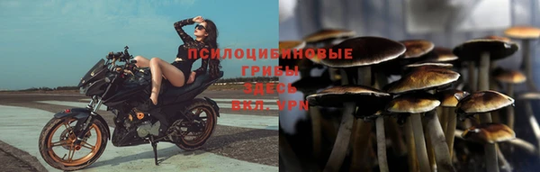 МДПВ Горнозаводск