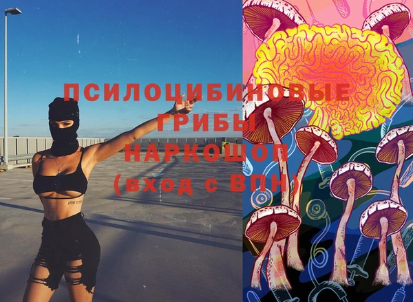 молекула духа Горняк