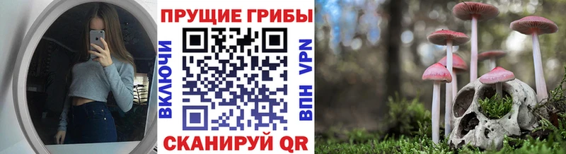 Купить  Слободской  Псилоцибиновые грибы GOLDEN TEACHER 